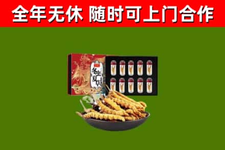 周宁烟酒回收冬虫夏草礼盒.jpg